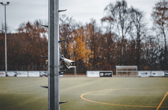 置使其长期 置使其长期