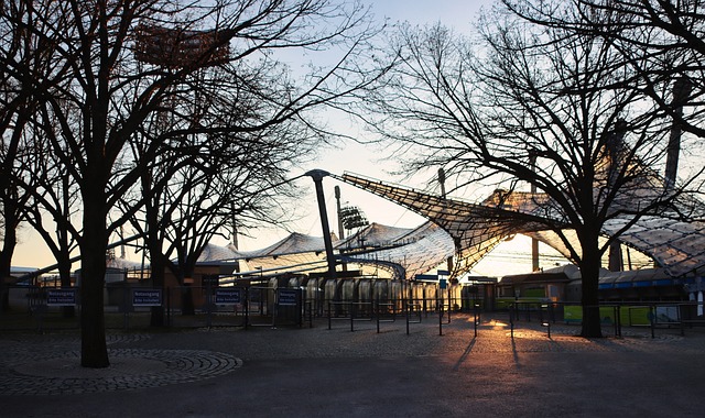 合实力的体 合实力的体