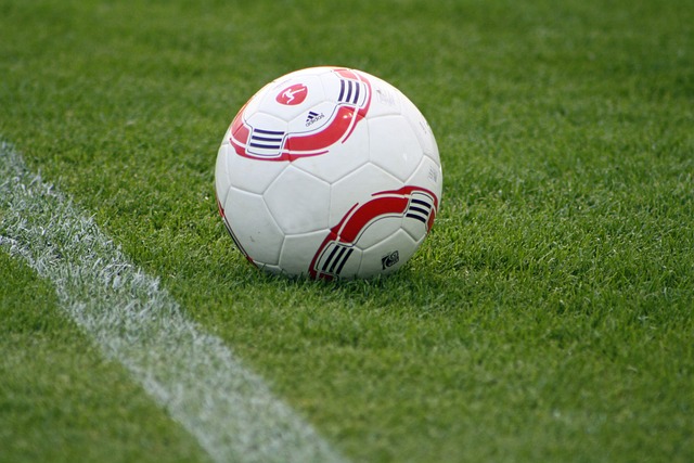 得异常坚韧 得异常坚韧