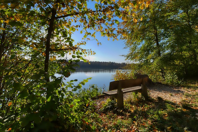运动员也难 运动员也难