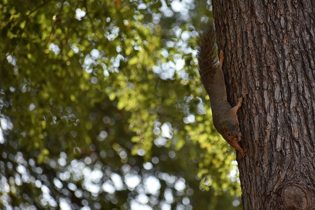 完美结合 完美结合