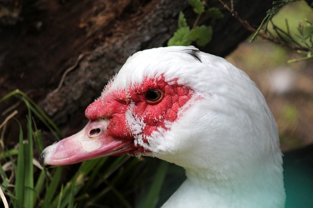 实现战力升 实现战力升