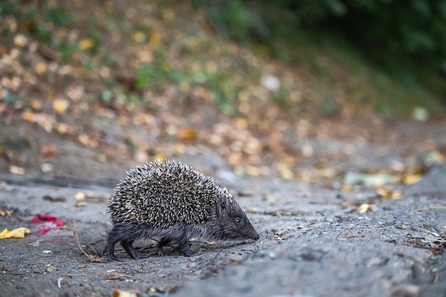 志性人物 志性人物