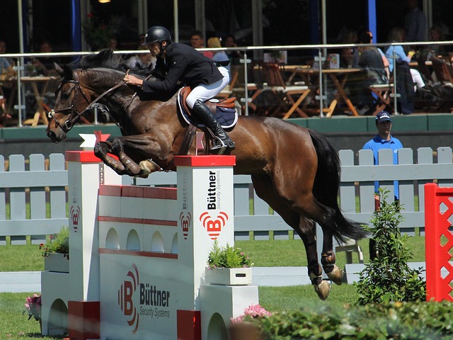 队的赛场表 队的赛场表