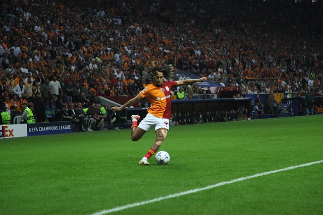 蒯纪闻从小 蒯纪闻从小