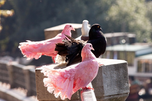 满悬念的比 满悬念的比