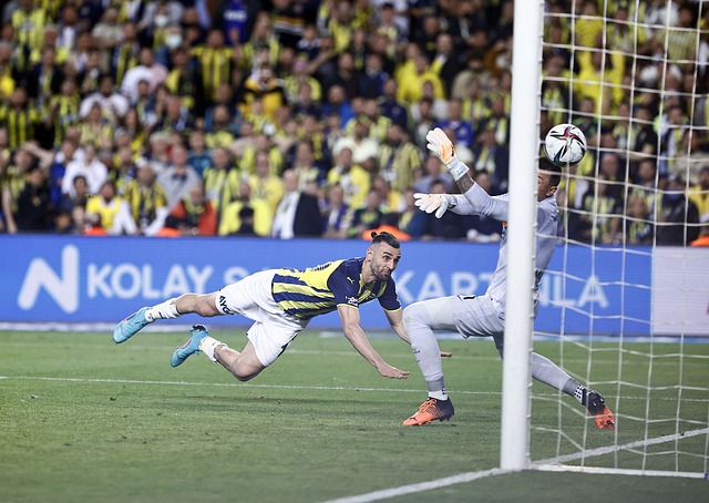 的应变能力 的应变能力