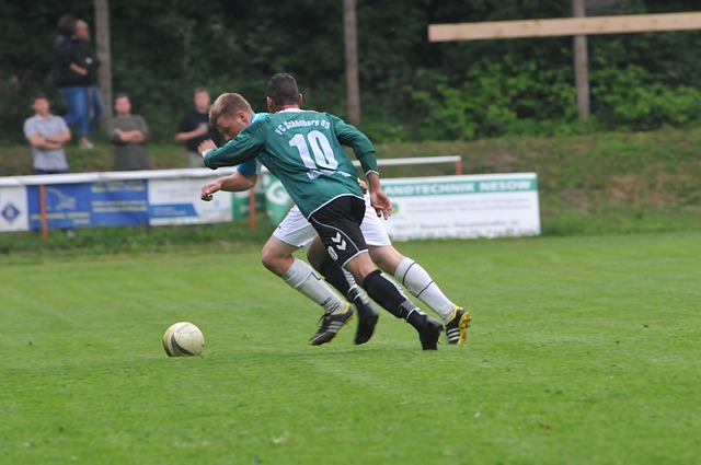 再次证明了 再次证明了